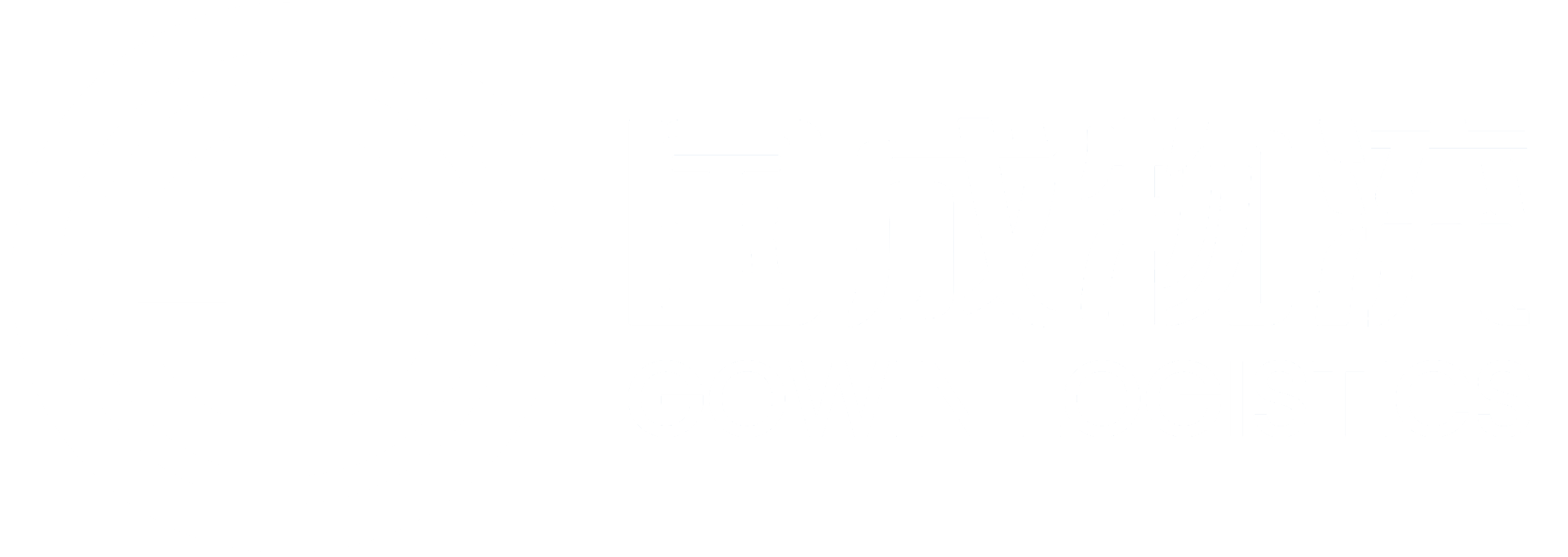 国成 GOWIN 国际供应链